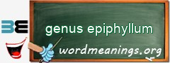 WordMeaning blackboard for genus epiphyllum